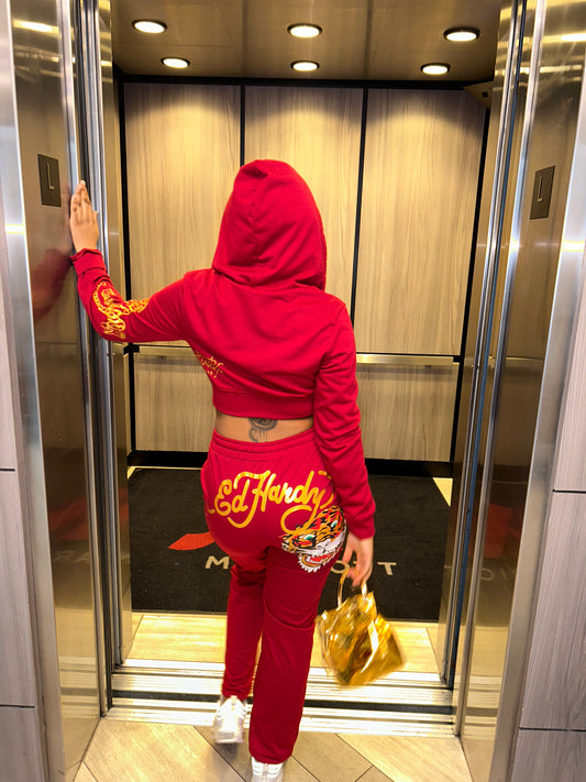 Ed Hardy SweatSuit